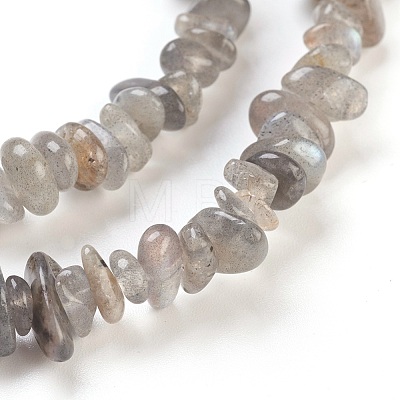 Natural Labradorite Beads Strands G-F575-10-1