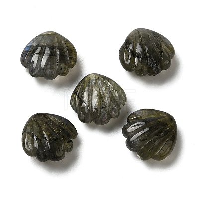 Natural Labradorite Carved Beads G-N343-02-1