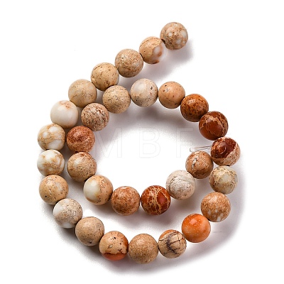 Dyed Natural Regalite/Imperial Jasper/Sea Sediment Jasper Beads Strands G-B124-C02-10-1