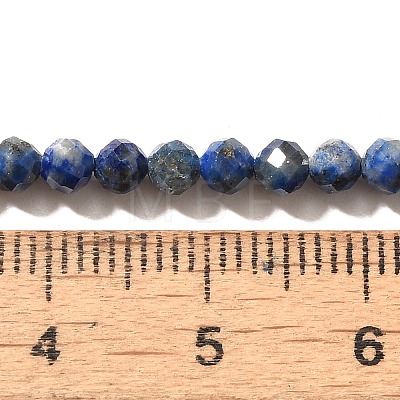 Natural Lapis Lazuli Beads Strands G-Z035-A01-02C-1