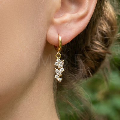 304 Stainless Steel & Clear Cubic Zirconia Hoop Earrings FS-WGFBAB4-01-1