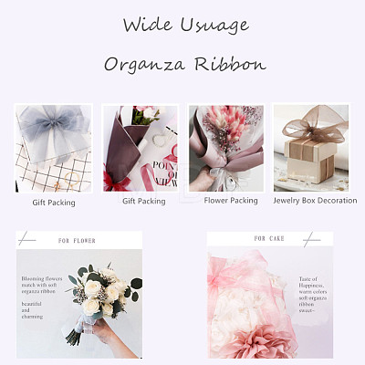 Organza Ribbon RS6mmY024-1