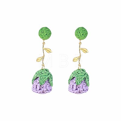 Bohemia Raffia & Alloy Stud Dangle Earrings WG3AA71-04-1