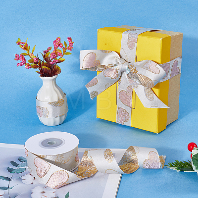 Polyester Ribbons SRIB-WH20020-061A-01A-1