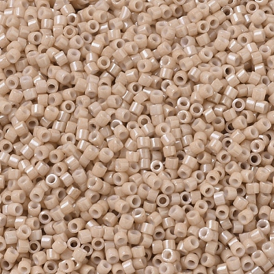 MIYUKI Delica Beads SEED-J020-DB0208-1