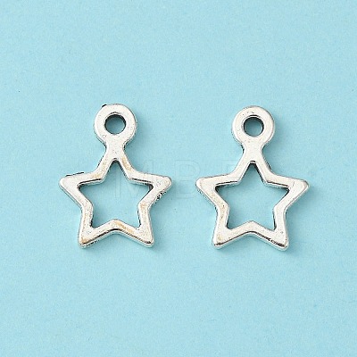 Tibetan Style Alloy Charms LF10686Y-NF-1