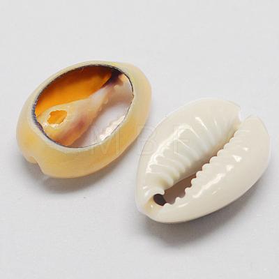 Natural Cowrie Shell Beads BSHE-Q296-1-1