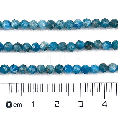 Natural Apatite Beads Strands G-C127-A01-01-1