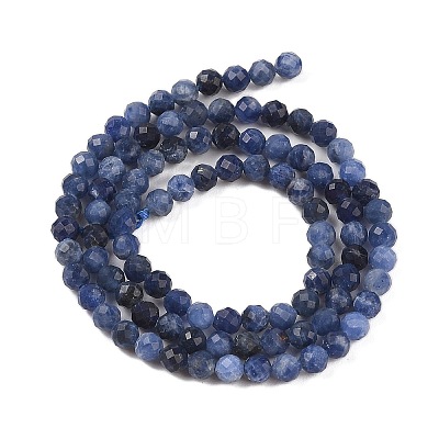 Natural Sodalite Beads Strands G-B088-C25-04-1