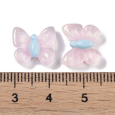 Resin Cabochons RESI-H162-01F-1