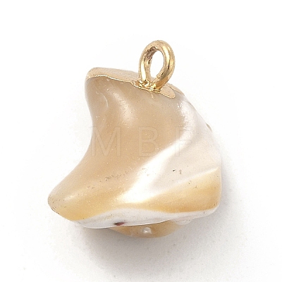 Baroque Natural Trochus Shell Pendants PEAR-P004-51KCG-1