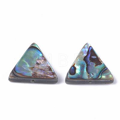 Abalone Shell/Paua Shell Beads SSHEL-T008-16-1