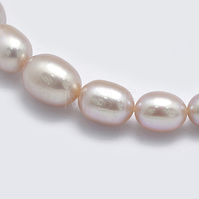 Natural Cultured Freshwater PearlBeads Strands PEAR-K003-21B-1
