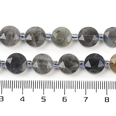 Natural Labradorite Beads Strands G-C116-A47-01-1