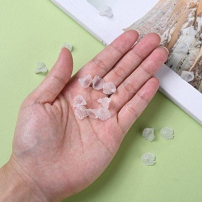 Transparent Acrylic Beads X-PL622-9-1