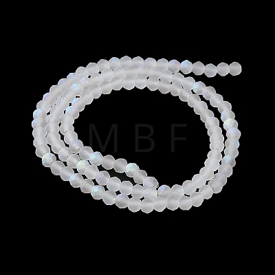 Transparent Glass Beads Strands EGLA-A044-T4mm-MB19-1