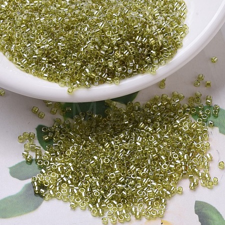 MIYUKI Delica Beads SEED-X0054-DB0124-1