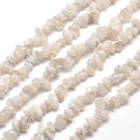 Natural Rainbow Moonstone Chip Bead Strands X-G-M205-62-1