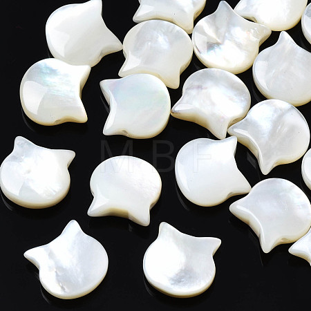 Natural White Shell Beads SSHEL-S258-99B-1