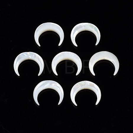 Natural White Shell Mother of Pearl Shell Beads X-SSHEL-T012-07-1