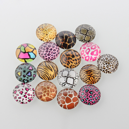 Animal Skin Printed Glass Cabochons GGLA-A002-12mm-OO-1