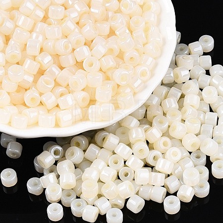 Glass Seed Beads SEED-T008-01B-1