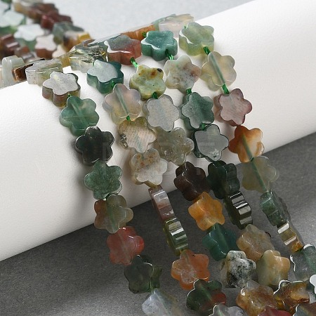Natural Indian Agate Beads Strands G-B138-C04-01-1
