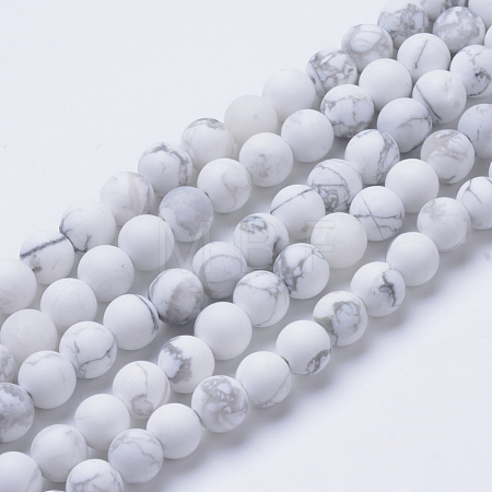 Natural Howlite Beads Strands G-T055-4mm-02-1