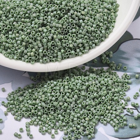 MIYUKI Delica Beads SEED-X0054-DB2310-1