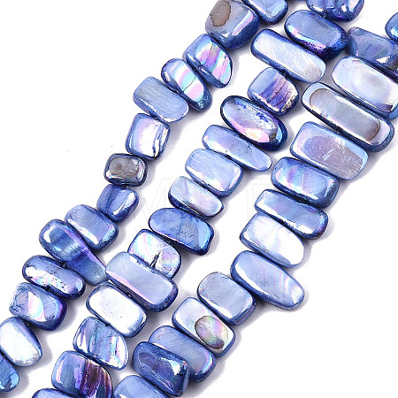 Natural Freshwater Shell Beads Strands X-SHEL-N026-123G-1