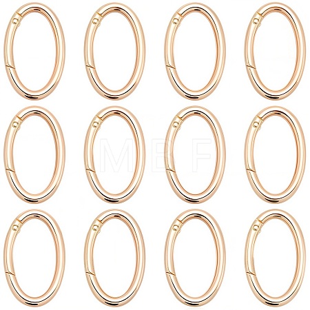 20Pcs Alloy Spring Gate Rings PALLOY-SC0010-53B-G-1