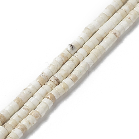 Natural Howlite Beads Strands G-E604-A01-C-1