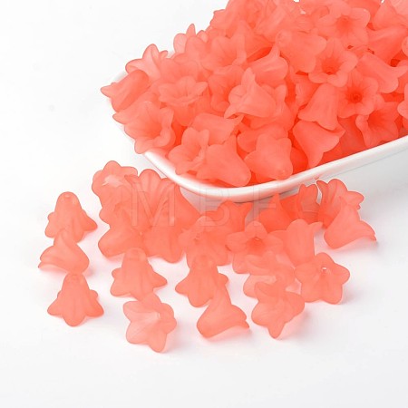 Transparent Acrylic Beads FACR-WH0004-01-1