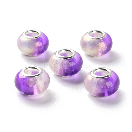 Two Tone Resin European Beads RESI-M001-02G-1