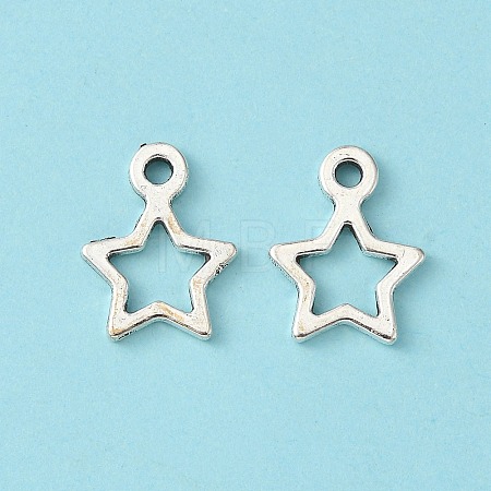 Tibetan Style Alloy Charms LF10686Y-NF-1