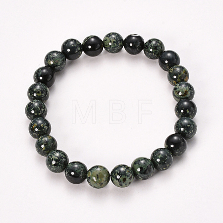 Natural Kambaba Jasper Beaded Stretch Bracelets BJEW-Q692-61-8mm-1