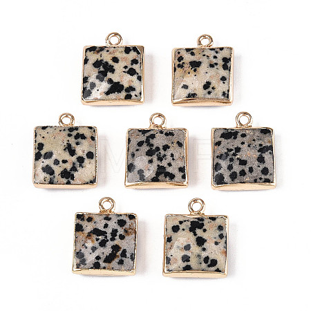 Natural Dalmatian Jasper Faceted Pendants G-T139-95B-1