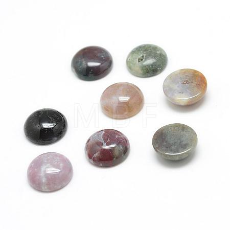 Natural Indian Agate Gemstone Cabochons G-T020-10mm-23-1