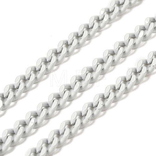 Spray Painted 304 Stainless Steel Curb Chains STAS-B067-05A-09-1