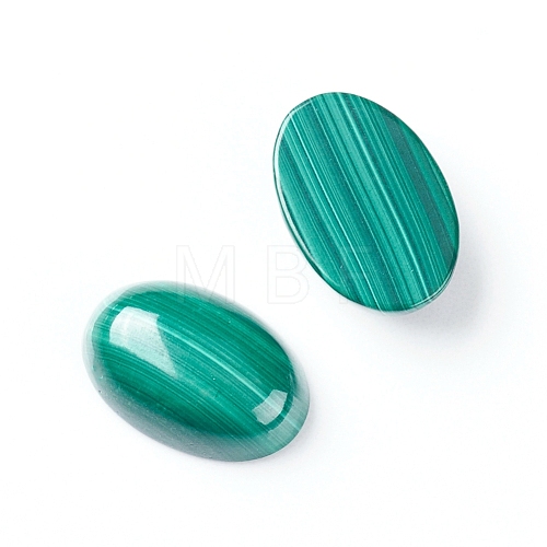 Natural Malachite Cabochons G-E557-03F-1