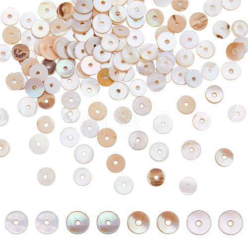 200Pcs Freshwater Shell Beads BSHE-SC0001-12-1
