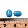 Synthetic Turquoise Cabochons G-G759-Z22-3