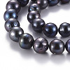 Natural Keshi Pearl Beads Strands PEAR-S020-L06-4
