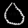 Natural Trochid Shell/Trochus Shell Beads Strands SH-CBA2978-10-3