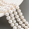 Natural Cultured Freshwater Pearl Beads Strands PEAR-C003-23-2