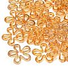Transparent Acrylic Beads AC-N166-10D-1