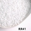 Opaque 8/0 Glass Seed Beads SEED-I013-3mm-RR41-1