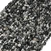 Natural Eagle Eye Stone Beads Strands G-D108-A02-04-2