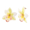 Cloth Flower Stud Earrings FS-WG643B1-06-1