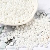6/0 Glass Seed Beads X1-SEED-M012-01A-16-1